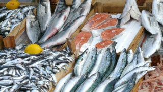 вс 13 7. набор № 13 вс " галогениды". вс 13 7. набор реактивов для демонстрационных опытов. комплект химических реактивов (галогениды).